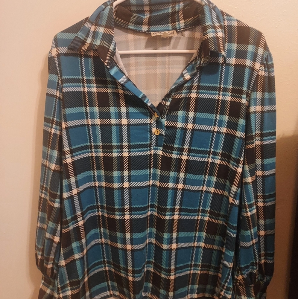 Claudia Richards Petite Turquoise Plaid Shirt (Size Large)
